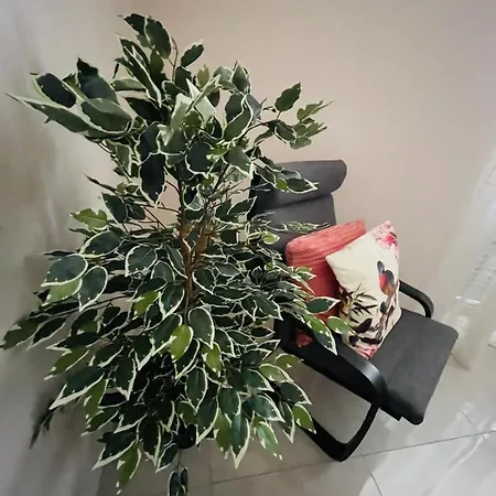 Апартаменты La Dimora Degli Avi