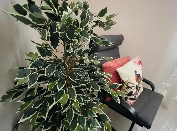 Apartamento La Dimora Degli Avi